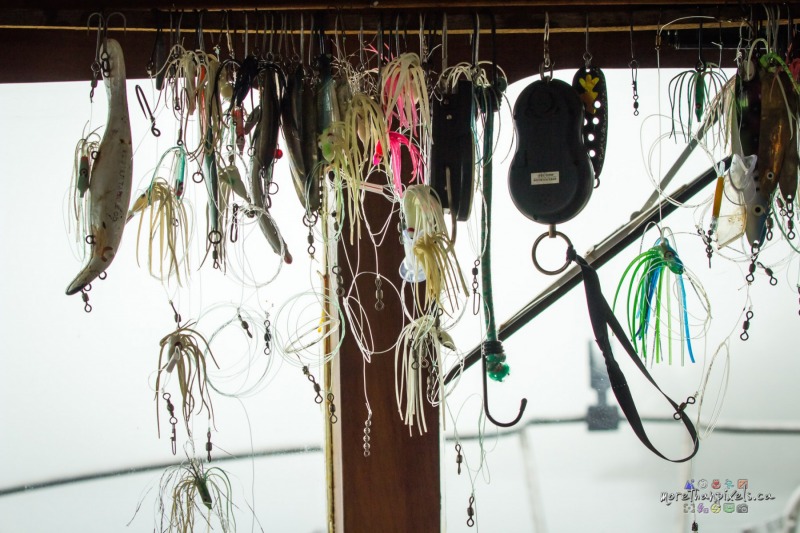 fishing-bait