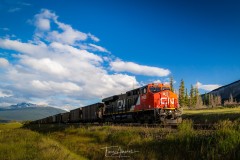 IMG_2905-Edit-Jun2015.-1-250-sec-at-f-8.0-ISO-400.-Canon-EOS-6D-with-EF24-105mm-f-4L-IS-USM