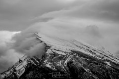 IMG_9051-Edit-Dec2015.-.-Canon-EOS-6D-with-EF70-300mm-f-4-5.6L-IS-USM